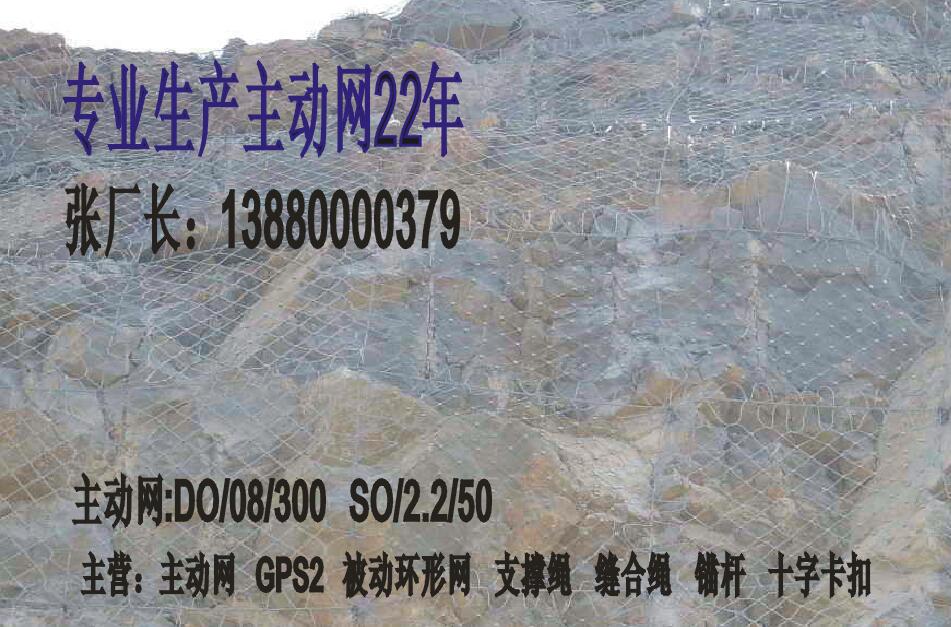 重慶主動(dòng)防護(hù)網(wǎng)，四川質(zhì)量好的GPS2主動(dòng)防護(hù)網(wǎng)